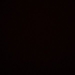 Meet your Posher, Dalton